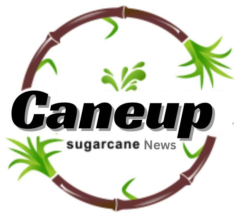 Cane Up |  Caneup | गन्ना पर्ची दखे | Cane Up.in 2023 24
